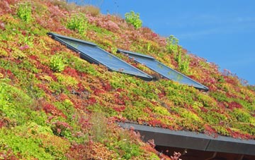 Hardhorn living roof systems