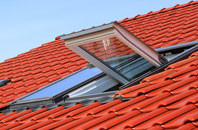 Hardhorn roof window